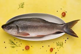 Rohu: Rui: Roho Labeo 1(रोहू मासा) fish image Rohu: Rui: Roho Labeo 1(रोहू मासा)