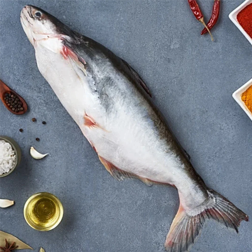 basa fish Whole fresh fish placed on a gray surface surrounded by spices, oil, garlic, and red chili peppers tuna