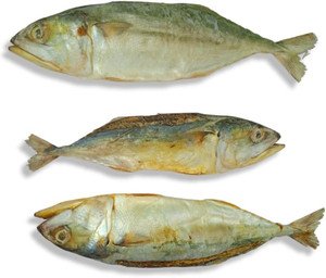 Three whole fish displayed horizontally on a white background, showing their golden-silver skin and varying sizes