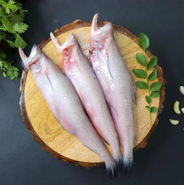 Three cleaned raw fish placed on a round wooden board, garnished with green herbs on a dark background bombayduck