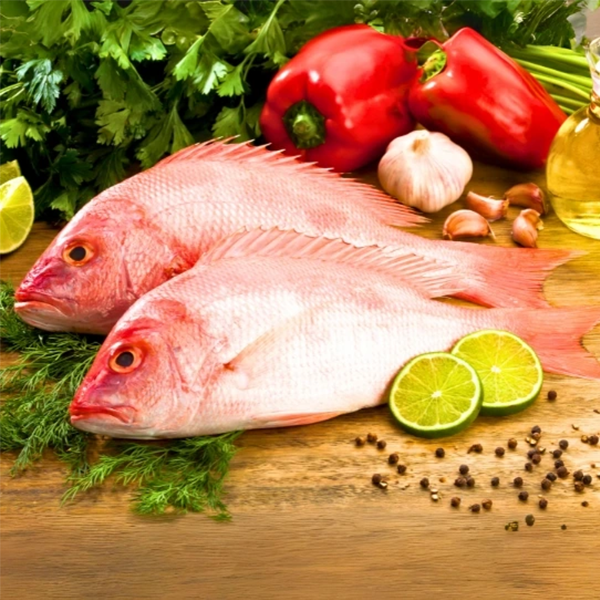 Partially visible scene with people standing near a weathered corrugated roof with moss and textured surface rani
