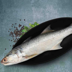 Fresh whole fish placed on a black plate with herbs and spices, set on a textured surface rawas blob