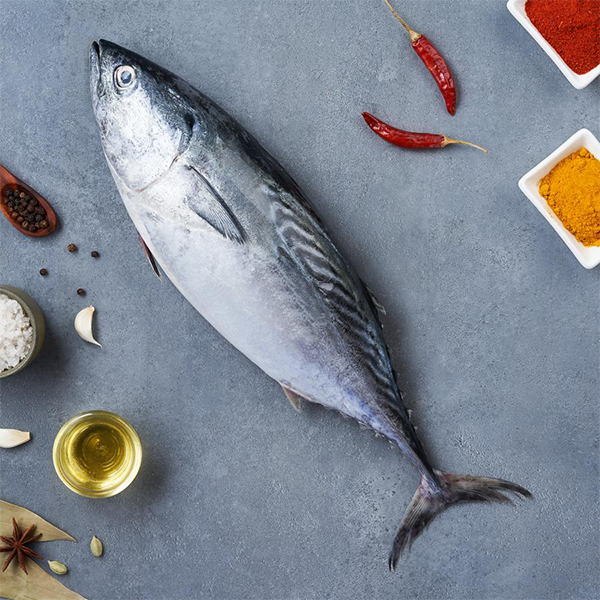 Whole fresh fish placed on a gray surface surrounded by spices, oil, garlic, and red chili peppers tuna